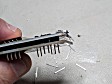 Use needle-nose pliers to remove all of the unnecessary pins, those without a white circle around them on the HBG3 PCB.